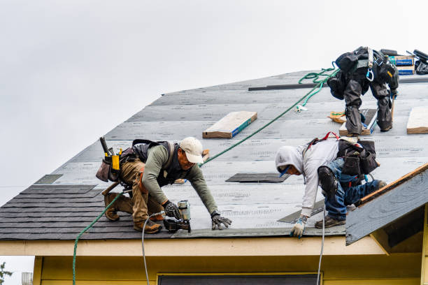 Professional Gutter Installation technician working in Arvilla, ND